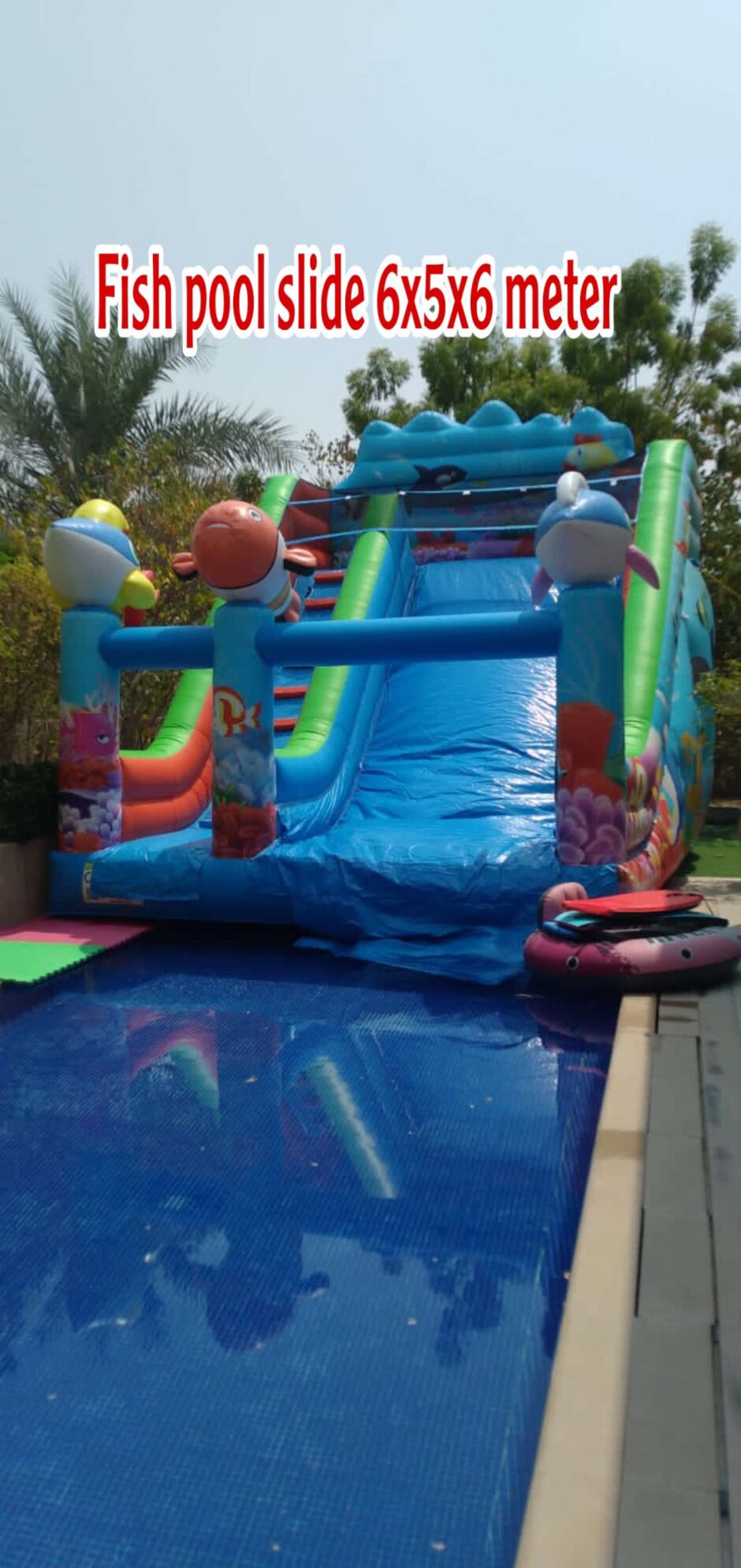 Fish Pool Slide (Size 6x5x6M)