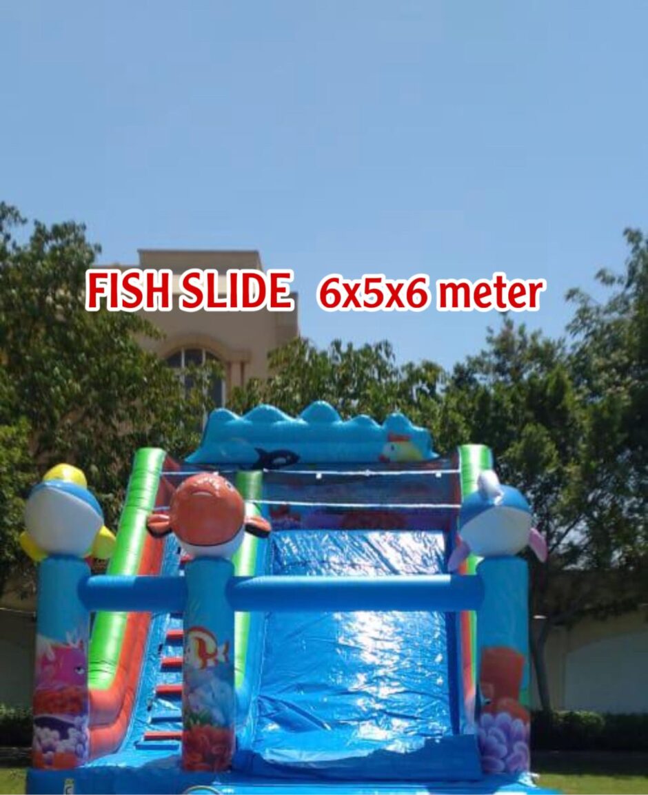 Fish Slide (Size 6x5x6M)